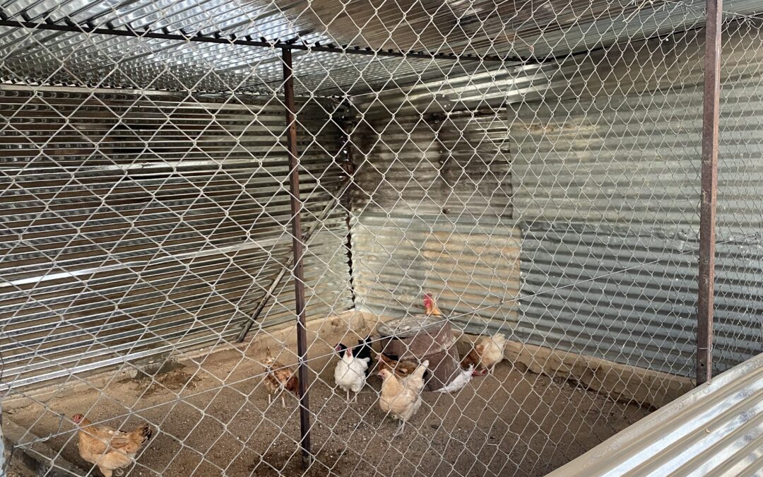 Hühnerstallrenovierung